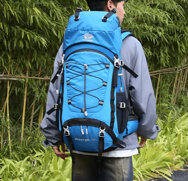 CarryQuest® - 65L - Camping/Wandel Rugzak - Regenhoes - 6 kleurenCarryQuestWandel Rugzak65L