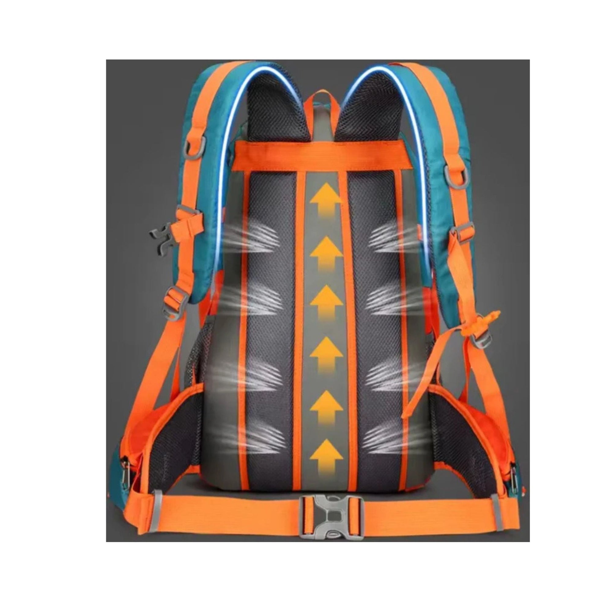 CarryQuest® - Rugzak - Waterzak - Wandel rugzak - Regenhoes - 35L - 2L - Waterzak Wandelen - Roze