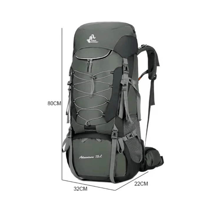 CarryQuest® - wandelrugzak - 75L Camping - Hiking Rugzak – Waterbestendig - Lichtgewicht - Paars